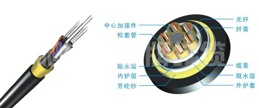 港澳六联盟